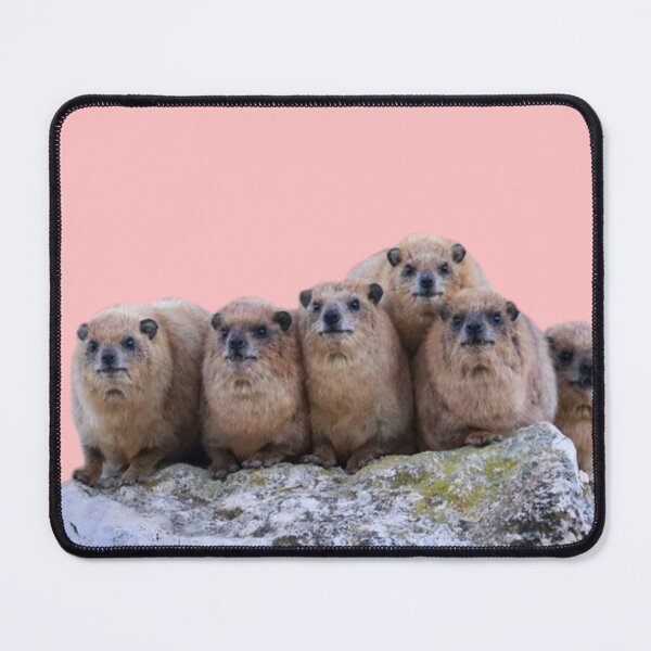 Item preview, Rock hyrax family designed and sold by SillyLittleSnek.