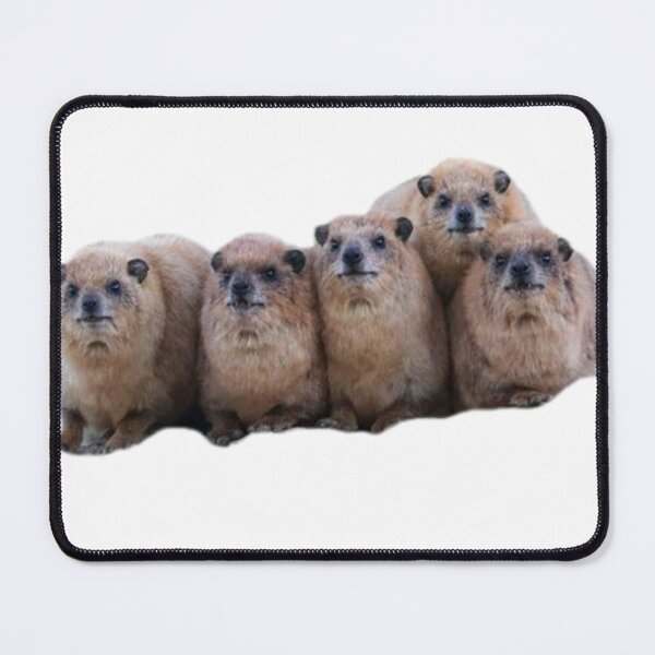 Item preview, Bundle of rock hyrax designed and sold by SillyLittleSnek.