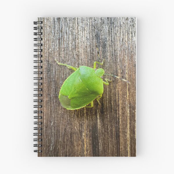 Item preview, Acrosternum hilare  designed and sold by MINDDesignsInc.