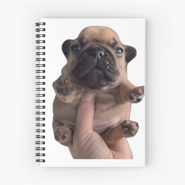 Item preview, Gmail Grabbed designed and sold by Silly Monke.