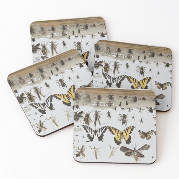 Item preview, Insect Pin Board designed and sold by Corner-Distro.