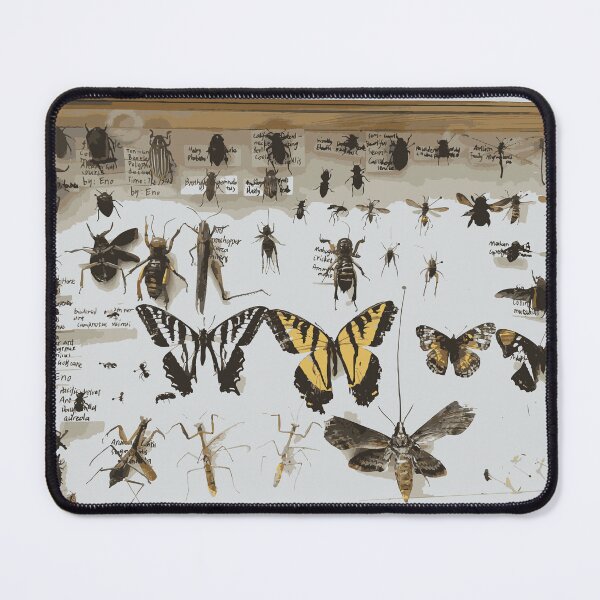 Item preview, Insect Pin Board designed and sold by Corner-Distro.
