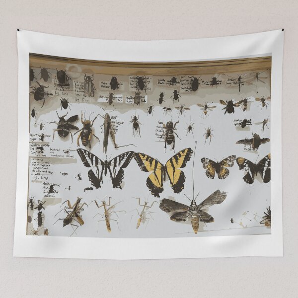 Item preview, Insect Pin Board designed and sold by Corner-Distro.