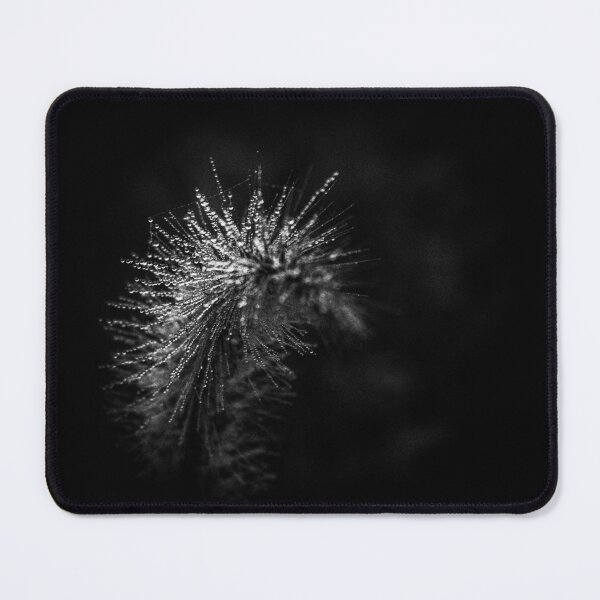 Item preview, Pearls in the mist designed and sold by KolasMapsphotos.