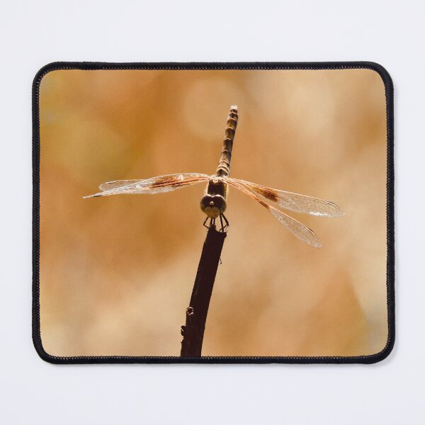 Item preview, Golden Dragonfly designed and sold by FeatherfallSTU.