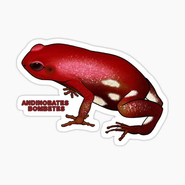 Item preview, Cauca Valley Poison Frog - Andinobates bombetes designed and sold by Azviel Art & Craft.