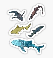 sharks Sticker