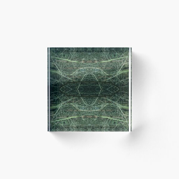 Item preview, Ramas del bosque designed and sold by PatternOfNature.