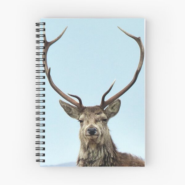 Item preview, Stag designed and sold by Leeanne Mackay.
