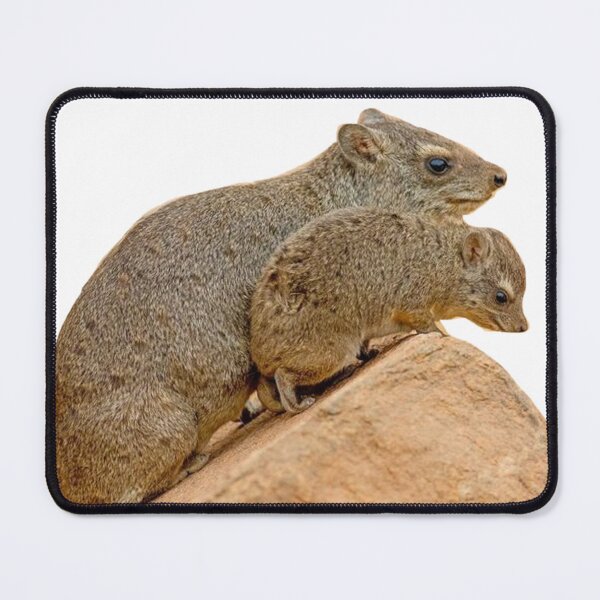 Item preview, Mom and baby rock hyrax on rock designed and sold by SillyLittleSnek.