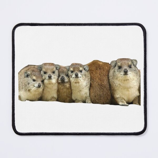 Item preview, Many rock hyrax designed and sold by SillyLittleSnek.