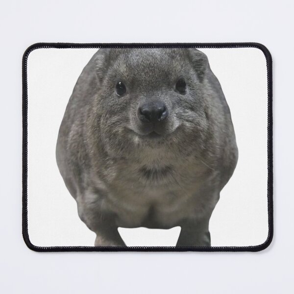Item preview, Sweet rock hyrax designed and sold by SillyLittleSnek.