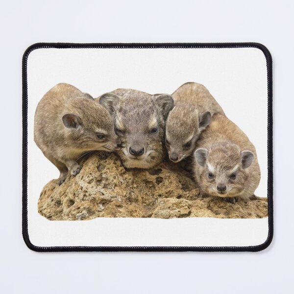 Item preview, four rock hyrax designed and sold by SillyLittleSnek.