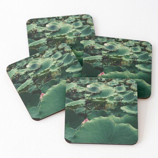Item preview, Lots of lotus leaves in the pond Lotus leaves cover the lotus flowers designed and sold by FujiFluke.