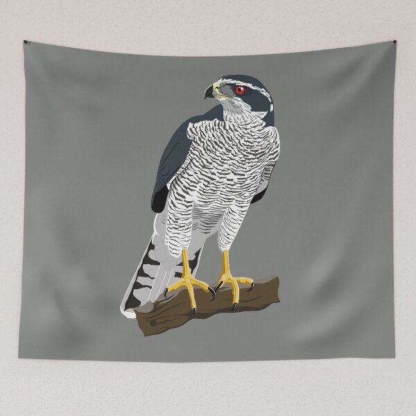 Item preview, Northern Goshawk designed and sold by BennuBirdy.