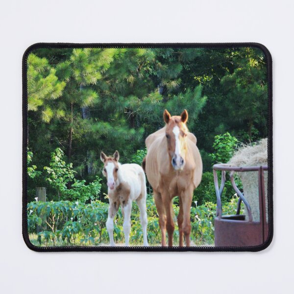 Item preview, Young And Adult Horses designed and sold by Cynthia48.