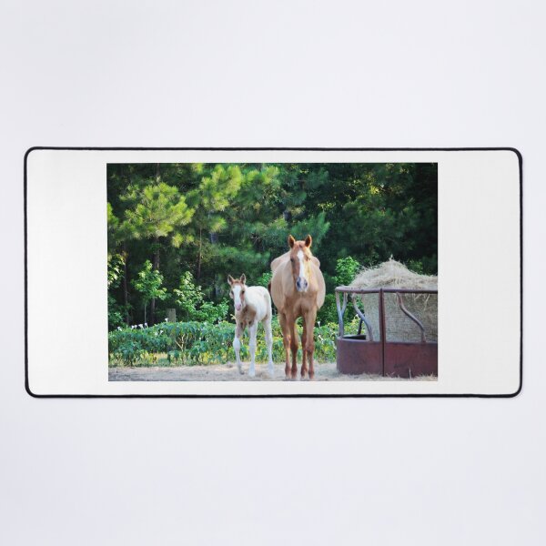 Item preview, Young And Adult Horses designed and sold by Cynthia48.