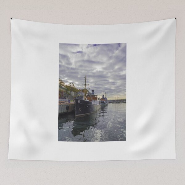 Item preview, ship designed and sold by paolo amiotti.