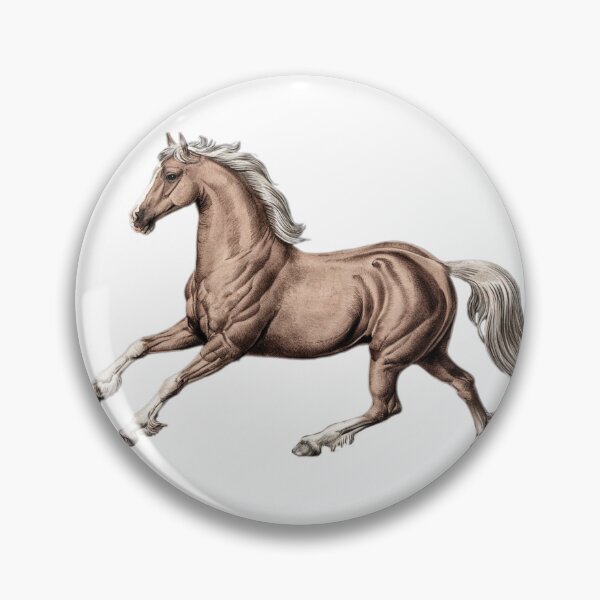 Item preview, Vintage Haflinger Horse, Horse Lover, Cute Animals,Wild Horses designed and sold by SnuggleSafari.