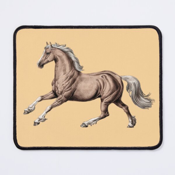 Item preview, Vintage Haflinger Horse, Horse Lover, Cute Animals,Wild Horses designed and sold by SnuggleSafari.
