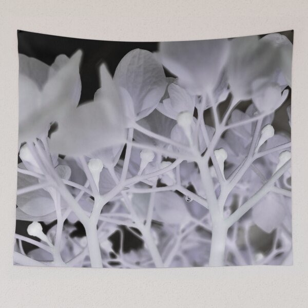 Item preview, 002: Phantom Hortensia designed and sold by SageFolio.