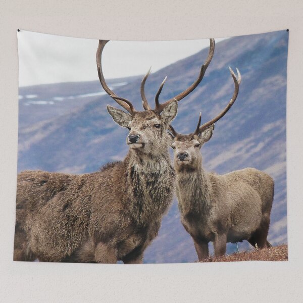 Item preview, Stags designed and sold by Leeanne Mackay.