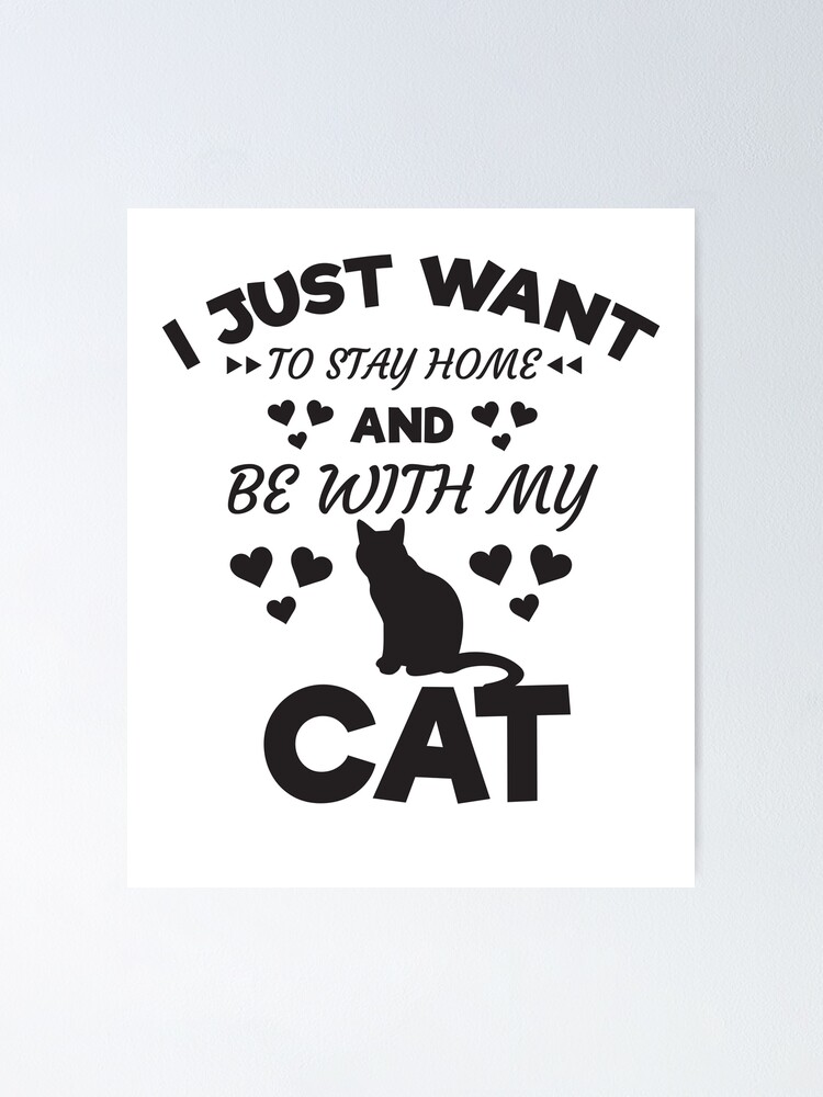 Get Zitat katze Free HD Zitat Katze