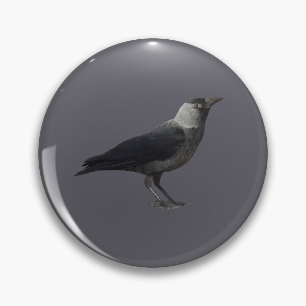 Item preview, Side View Of A Wild Jackdaw designed and sold by taiche.