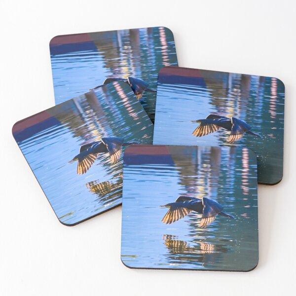 Item preview, Cormorant at full speed designed and sold by SRosuphotos.