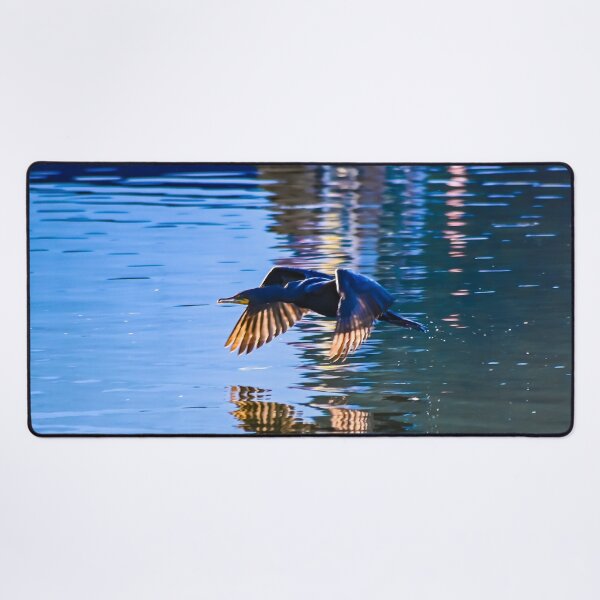 Item preview, Cormorant at full speed designed and sold by SRosuphotos.