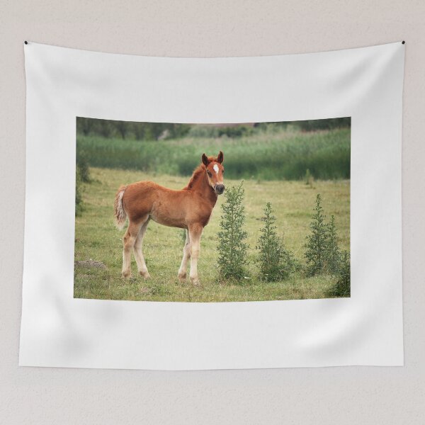 Item preview, caballo potro en el pasto designed and sold by goceris.
