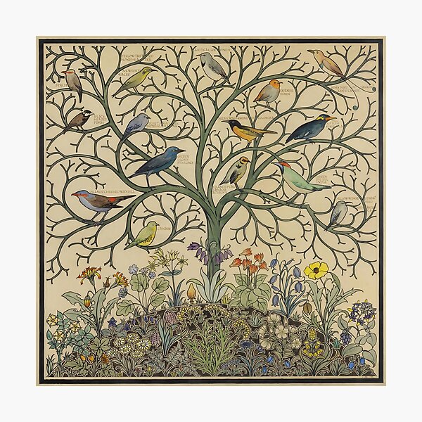 Aperçu de l'œuvre Oiseaux de nombreux climats par C.F.A Voysey créée et vendue par Onodera.
