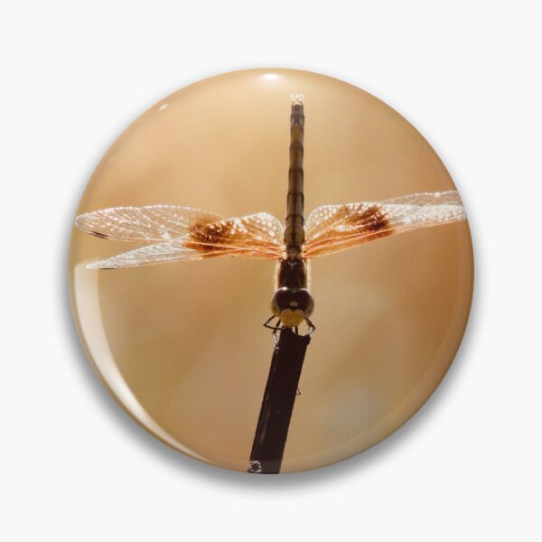 Item preview, Golden Dragonfly On Gold Background designed and sold by FeatherfallSTU.