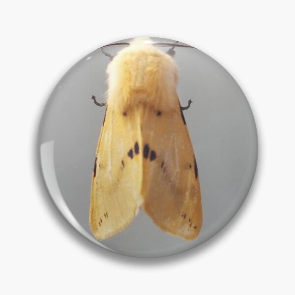 Item preview, Buff ermine tiger moth designed and sold by Bug-clown-boy.