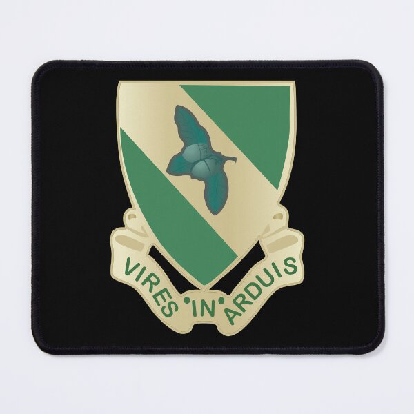 Item preview, DUI - 800th Military Police Brigade X 300 designed and sold by Military Insignia Products.