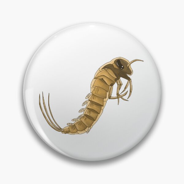 Item preview, Aquatic Insect Larvae designed and sold by clearrhalley.