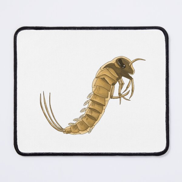 Item preview, Aquatic Insect Larvae designed and sold by clearrhalley.
