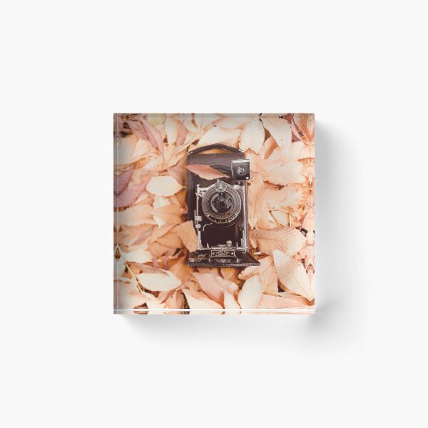 Item preview, Vintage Camera In Autumn Colored Leaves designed and sold by FeatherfallSTU.