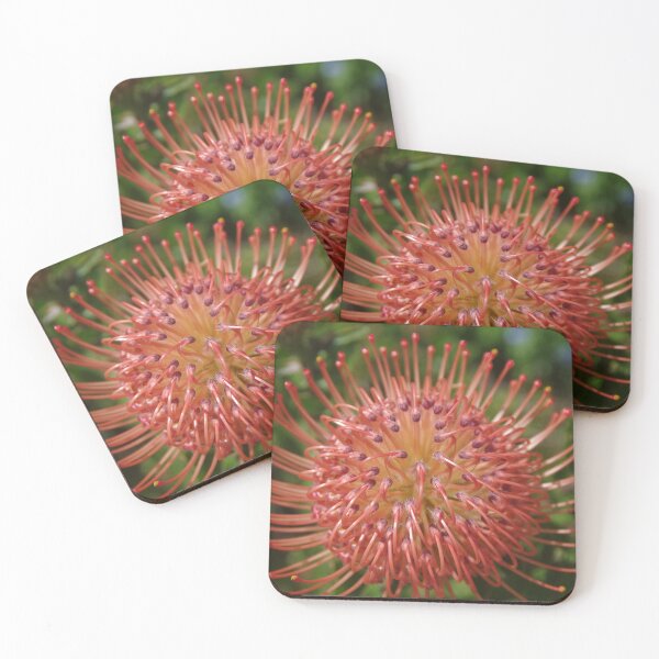 Item preview, Leucospermum red ribbon designed and sold by lezvee.