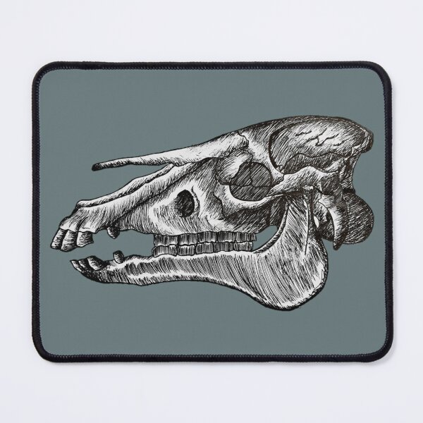 Item preview, Horse Skull Sketch designed and sold by taylorrowan.
