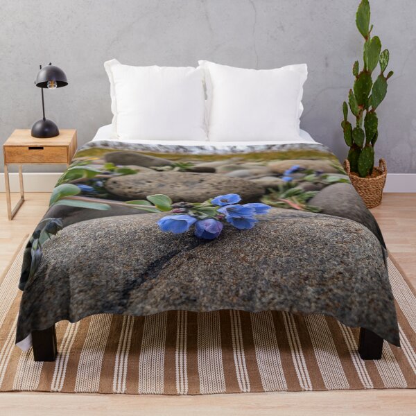 Item preview, Oyster Plant, Mertensia maritima  (Blálilja) designed and sold by Vidarleikur.