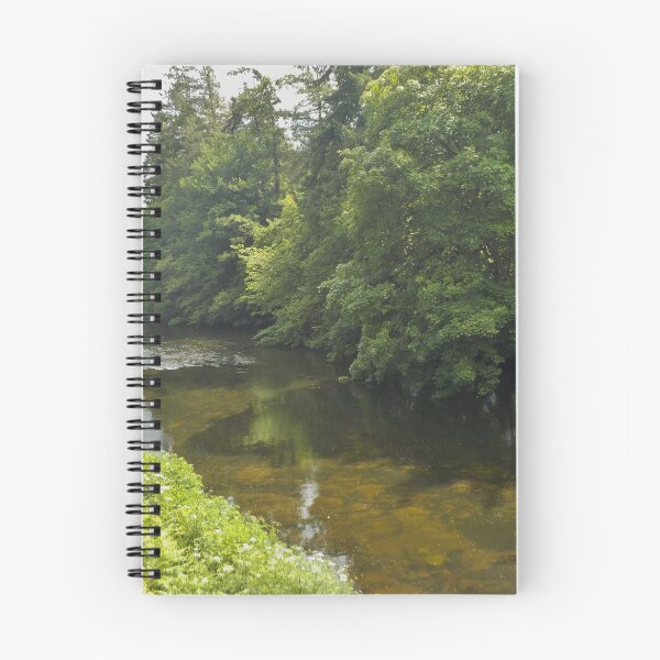 Item preview, River Dart Near Hood Bridge, Devon UK designed and sold by lezvee.