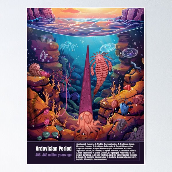 Item preview, Ordovician Period Life designed and sold by TimeLineArtist.