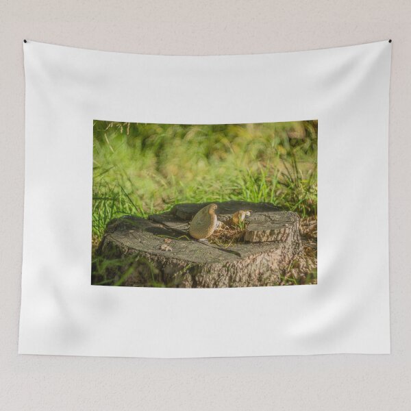 Item preview, Mushroom Turist Park Samokov bulgaria designed and sold by oleg gendel.
