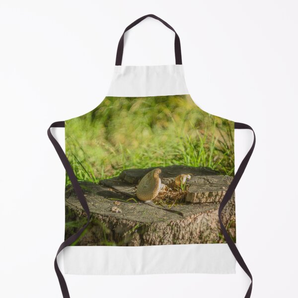 Item preview, Mushroom Turist Park Samokov bulgaria designed and sold by oleg gendel.