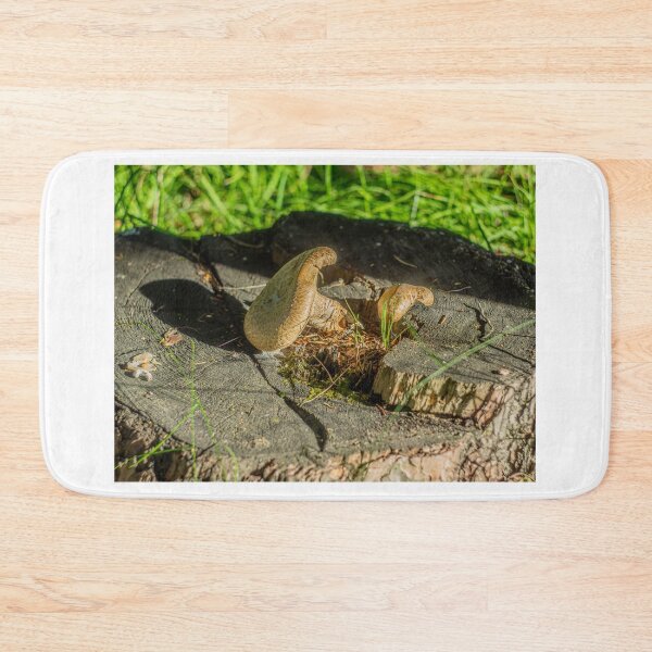 Item preview, Mushroom Turist Park Samokov bulgaria designed and sold by oleg gendel.