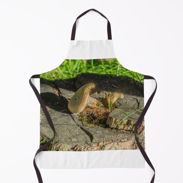 Item preview, Mushroom Turist Park Samokov bulgaria designed and sold by oleg gendel.