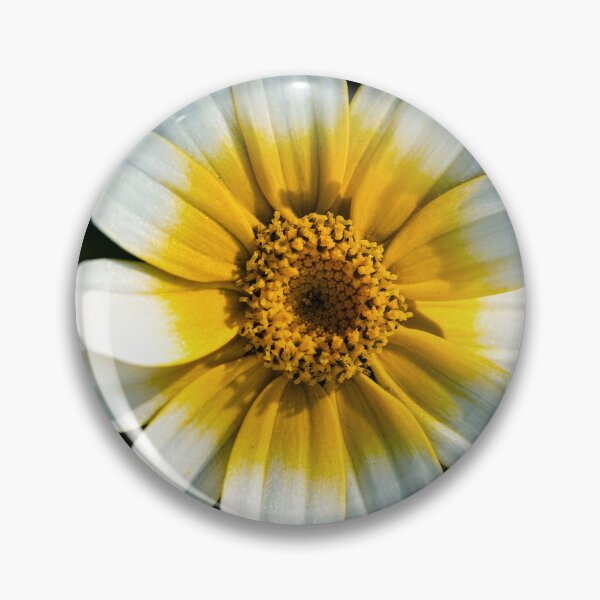 Item preview, Crown Daisy designed and sold by Tom McPherson Photography.