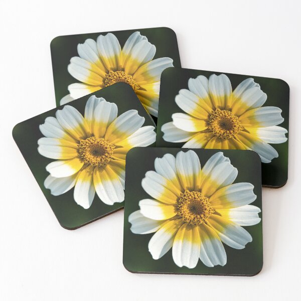 Item preview, Crown Daisy designed and sold by Tom McPherson Photography.