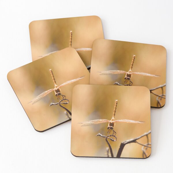 Item preview, Golden Dragonfly On Twisted Branch At Golden Hour designed and sold by FeatherfallSTU.